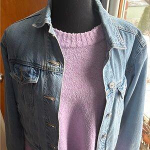 American Eagle Outfitters Denim Jacket